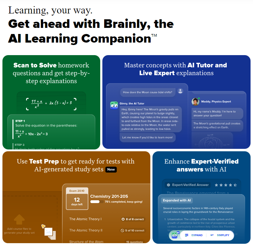 brainly 